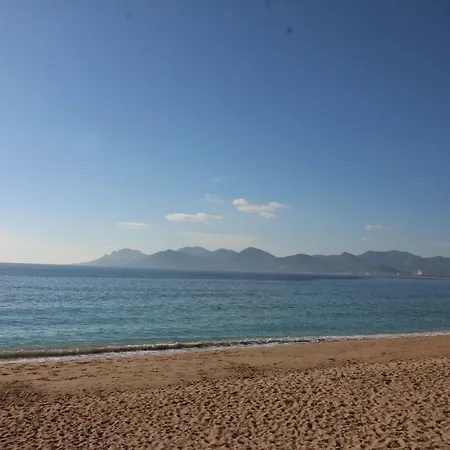 Conseil Immo, Grand Terrasse Gray D'albion Area -four- Cannes